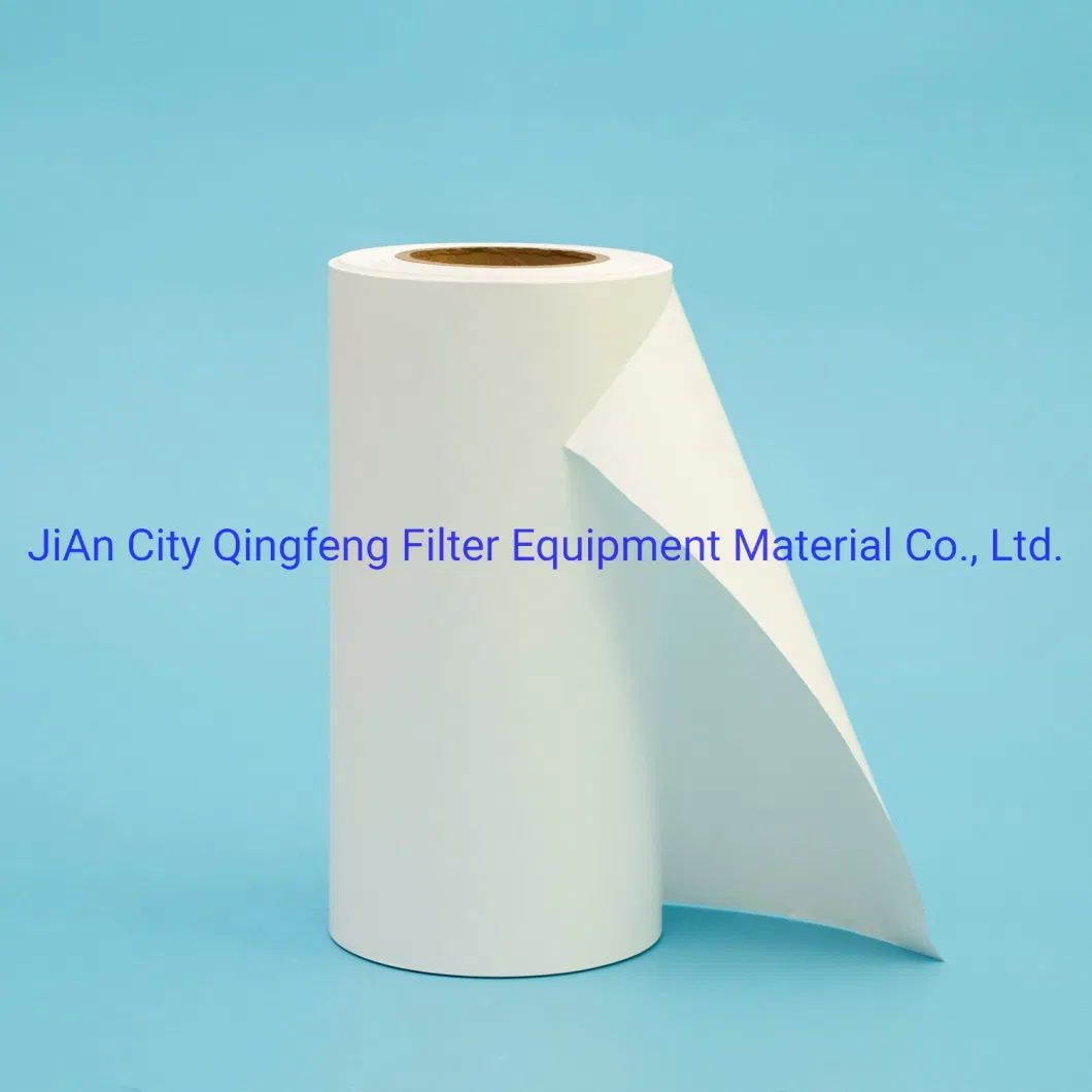 0.2 Micron Nylon Micropore Filter Membrane for Chemical and Water Treatment